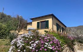 Villa Bella